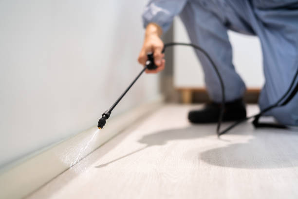 Certified termite inspector examining foundation in Elk Rapids