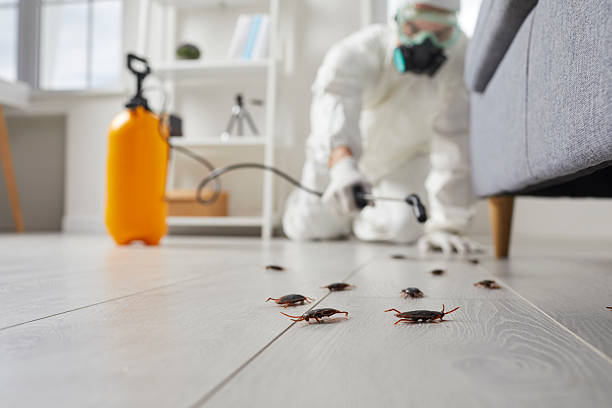 Commercial Rodent Management in Elk Rapids